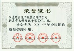 全国优秀质量管理小组(2013年)